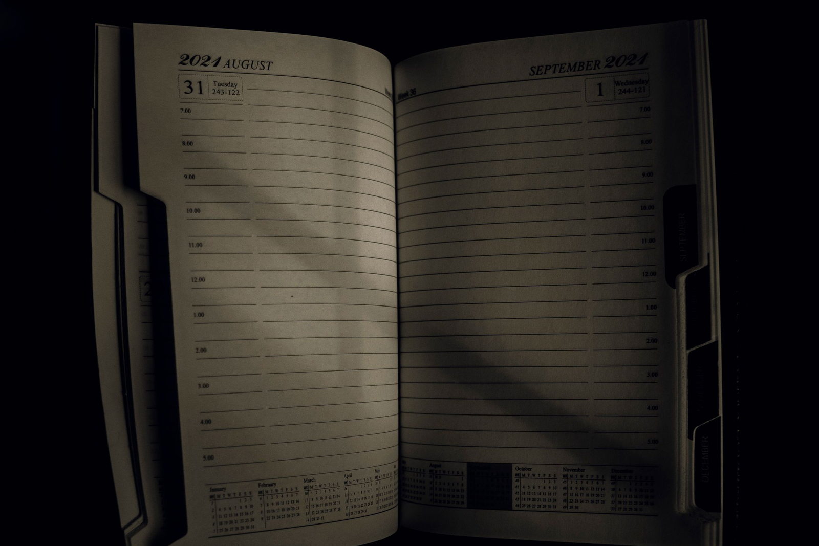 A paper diary open across two pages in a dark room, a shaft of light across the ruled columns
